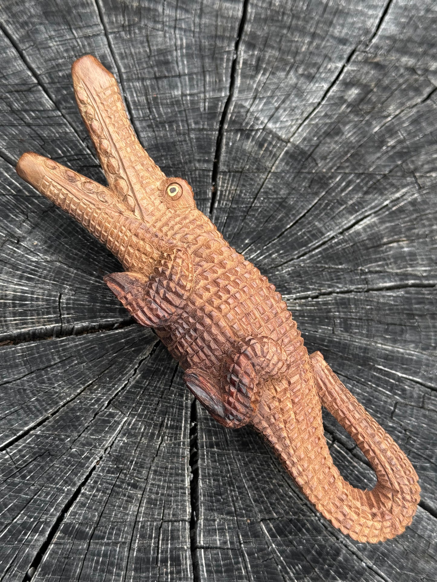 Kuripe de cocodrilo
