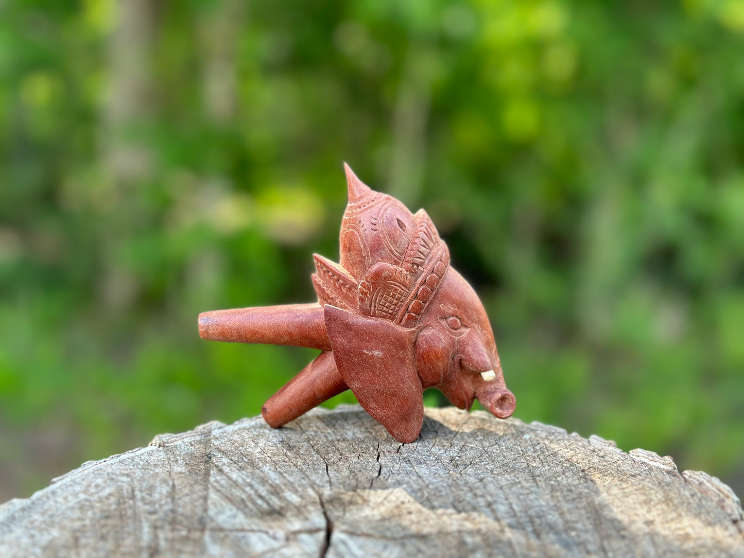 Master Ganesha Kuripe