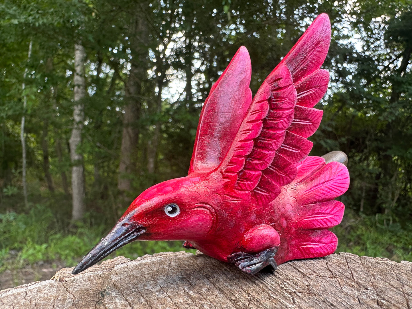Colibrí Kuripe