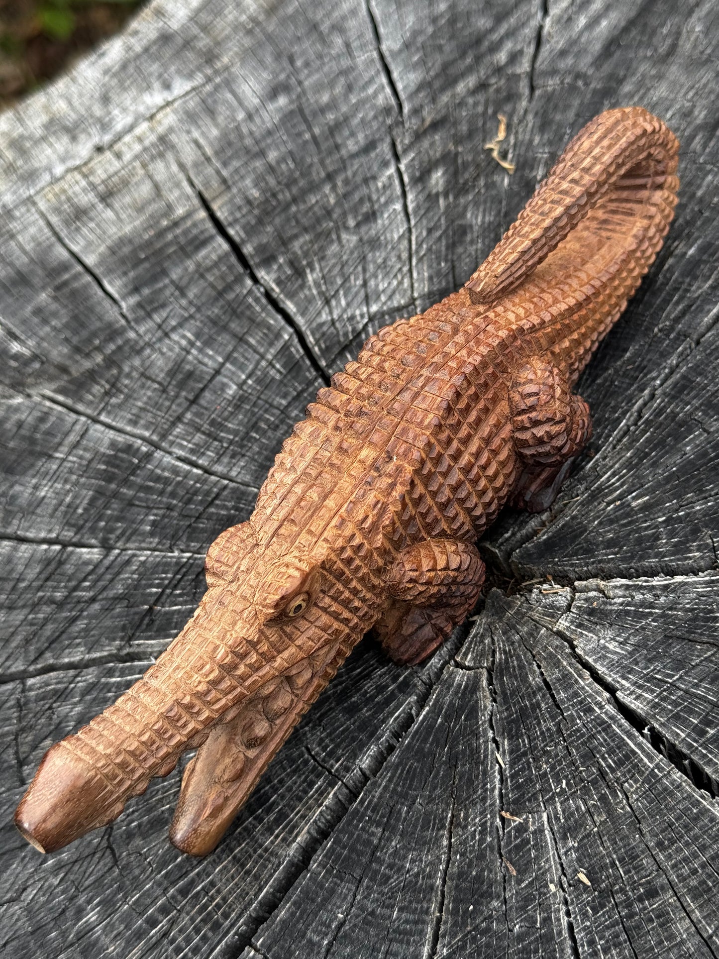 Kuripe de cocodrilo