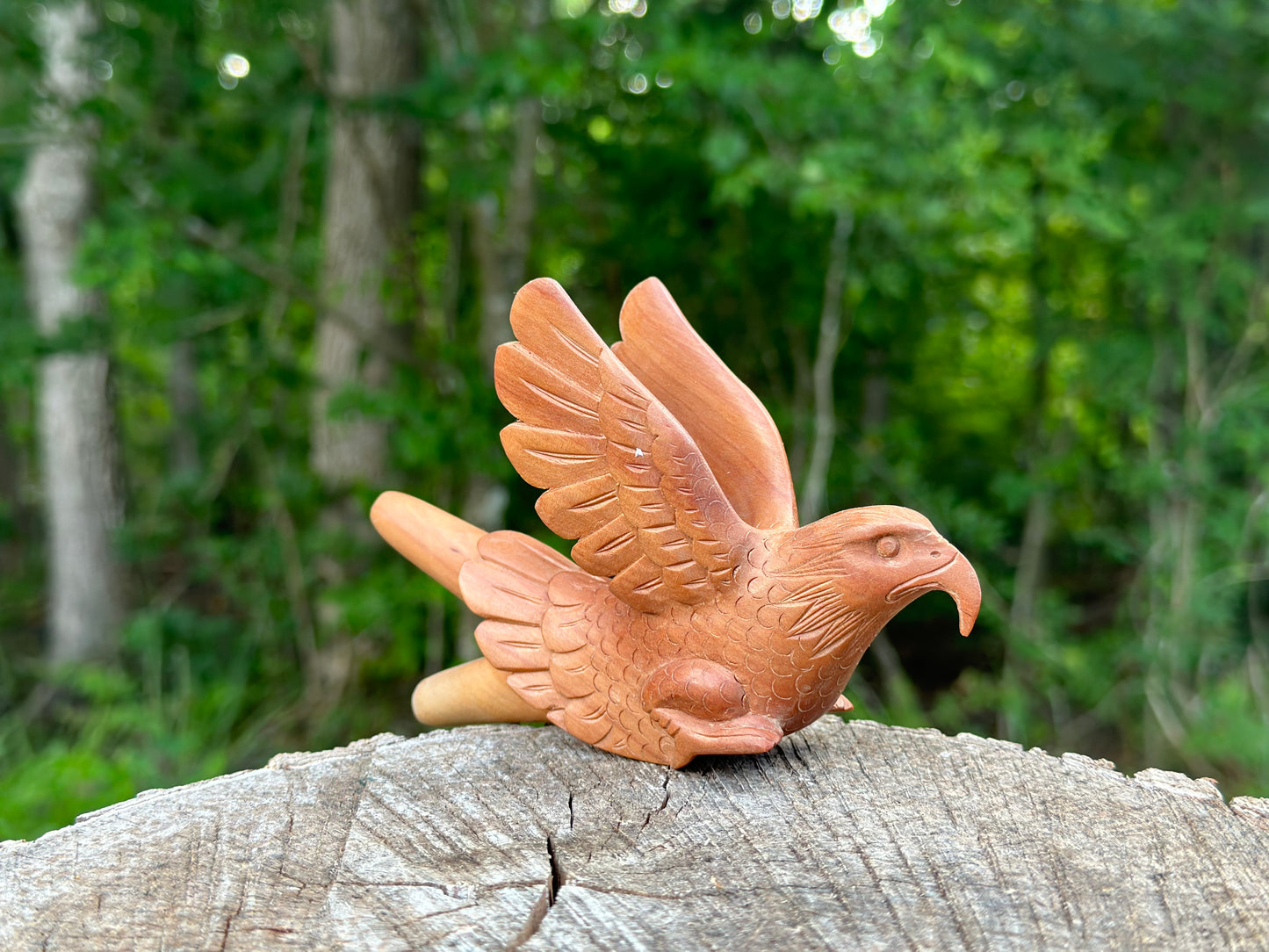 Águila Águila 🦅 kuripe