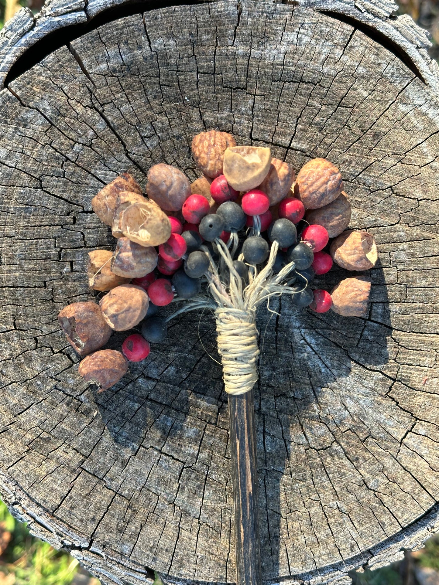 Colombian Pangi Nut Shaker