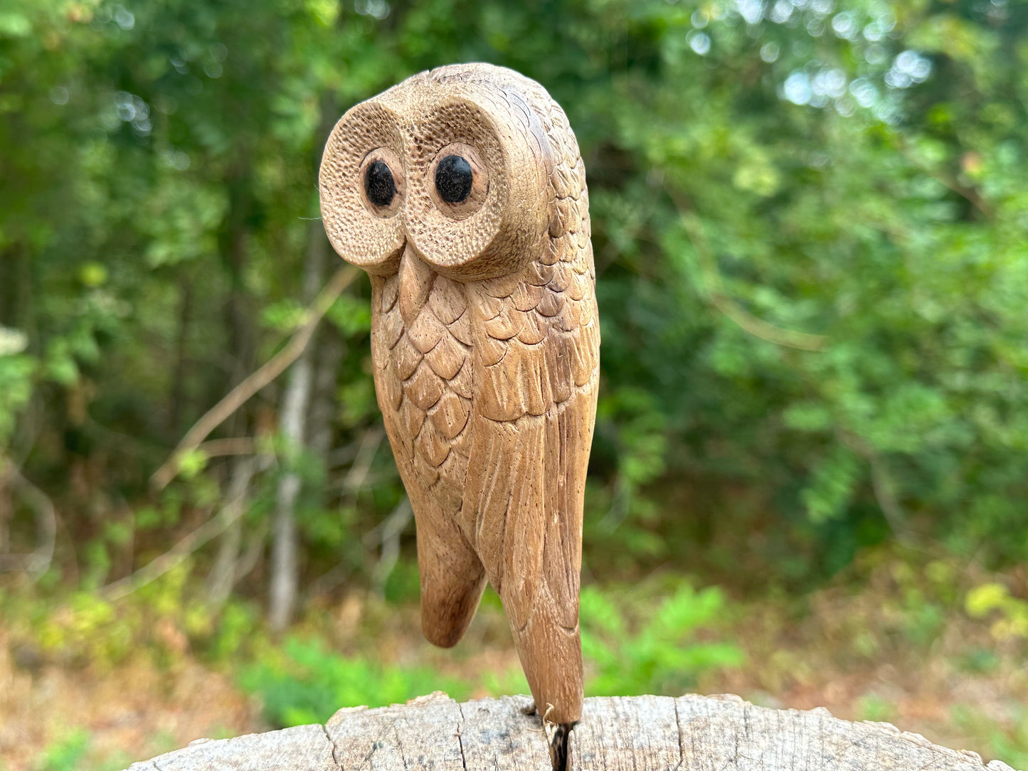 Búho posado Kuripe