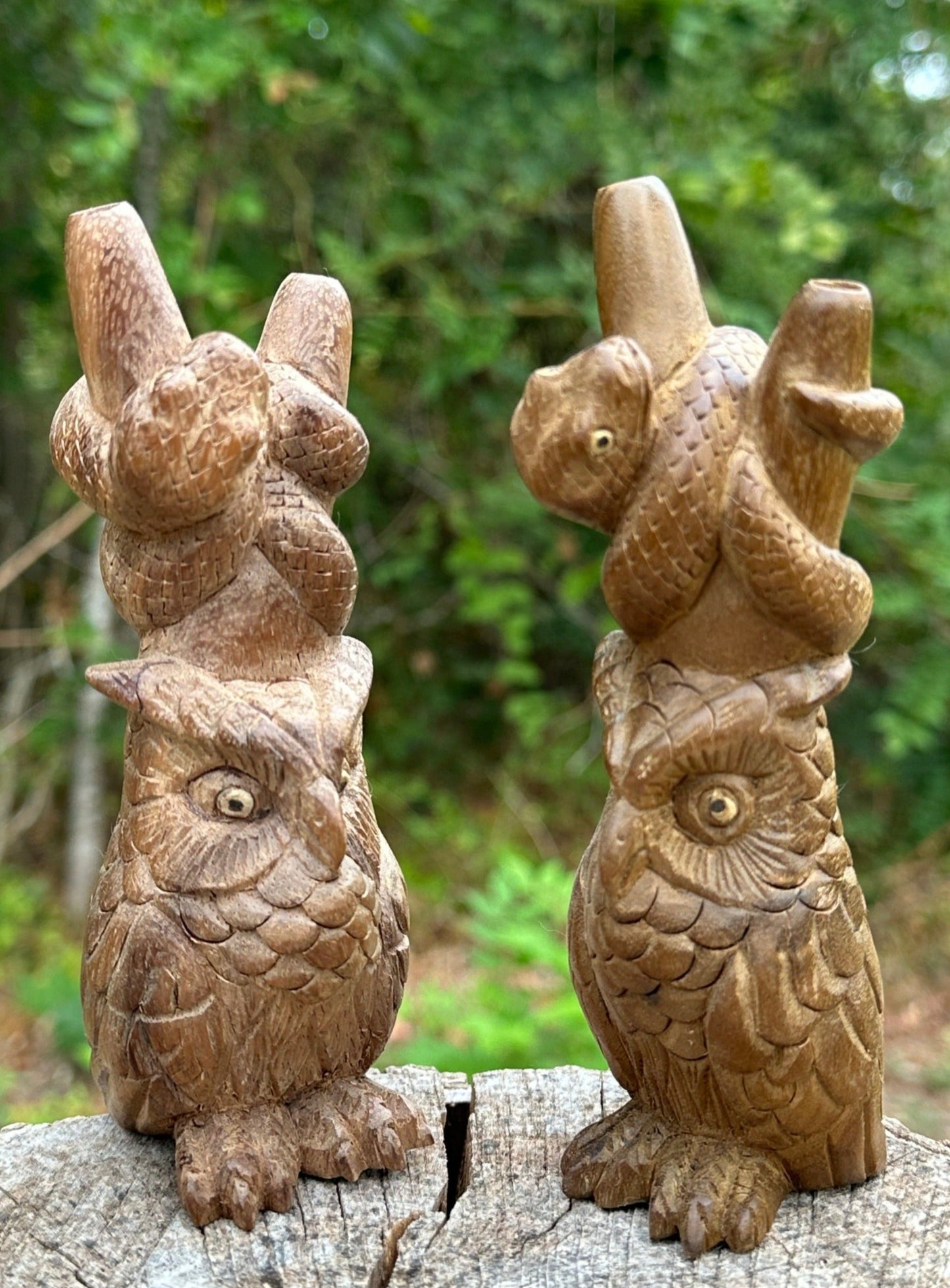 Búho y serpiente Kuripe