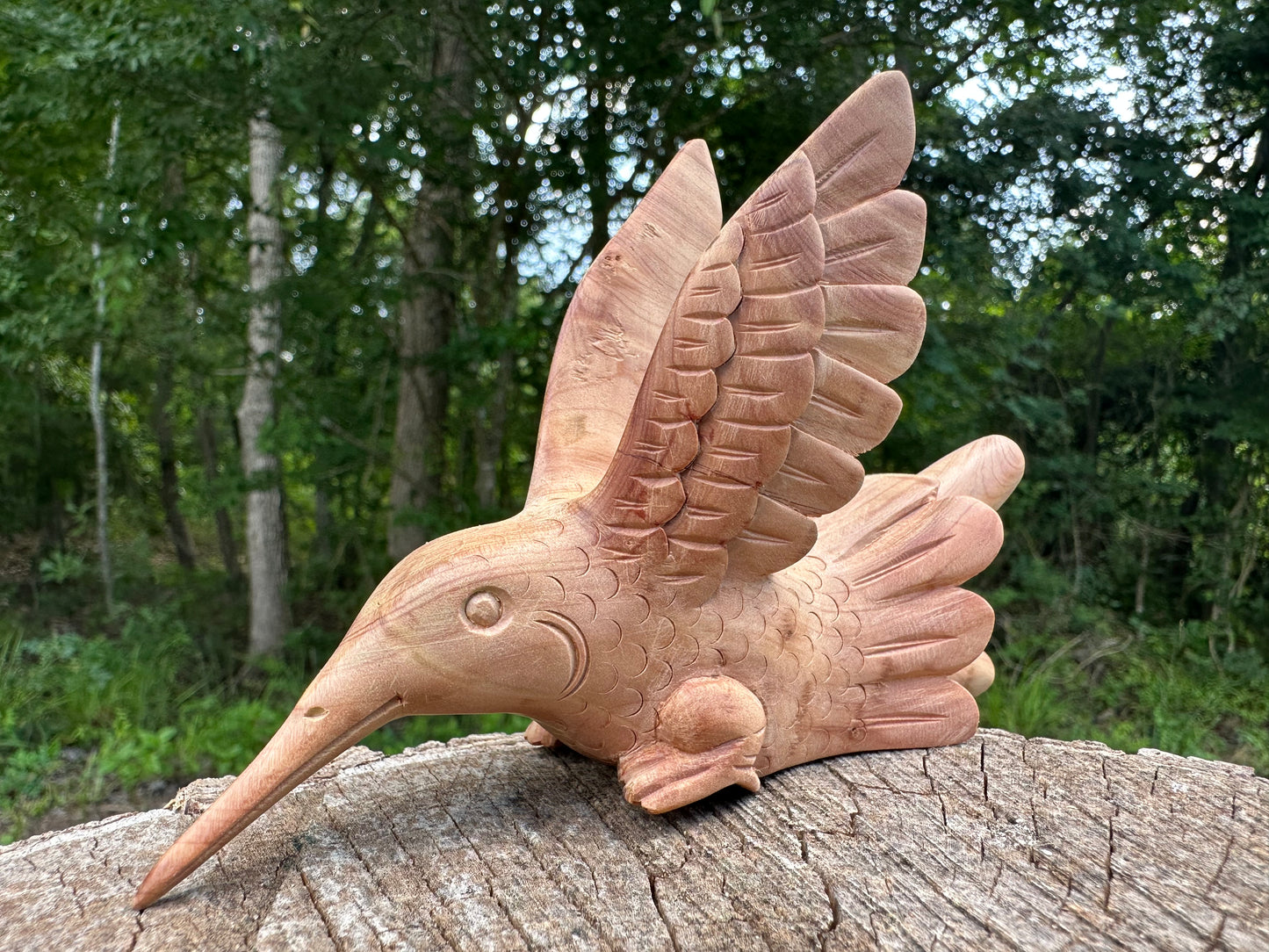 Colibrí Kuripe