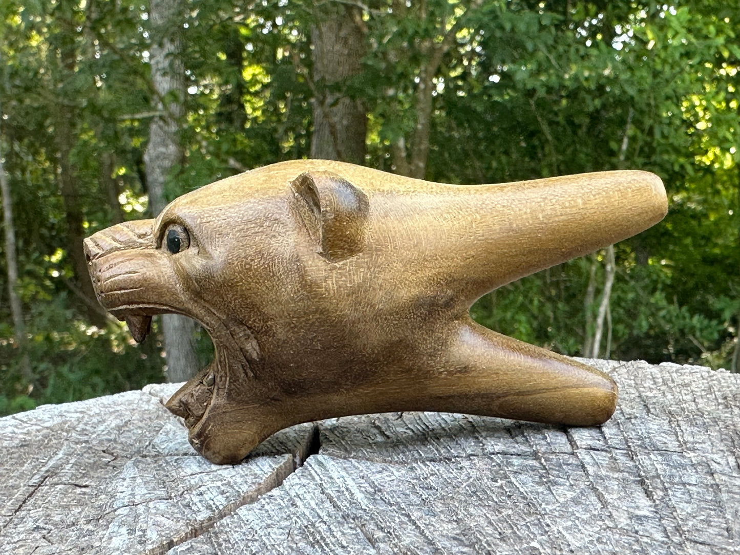 Jaguar Kuripe