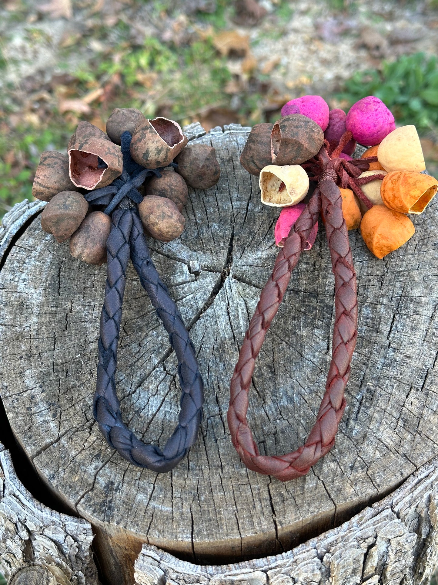 Colombian Pala Seed Wrist Shaker