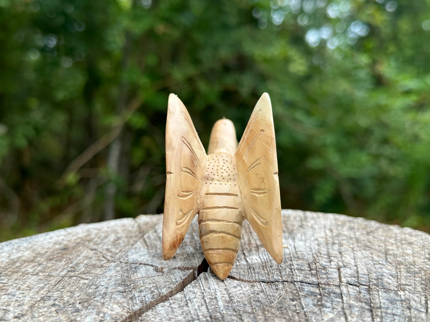 Butterfly kuripe