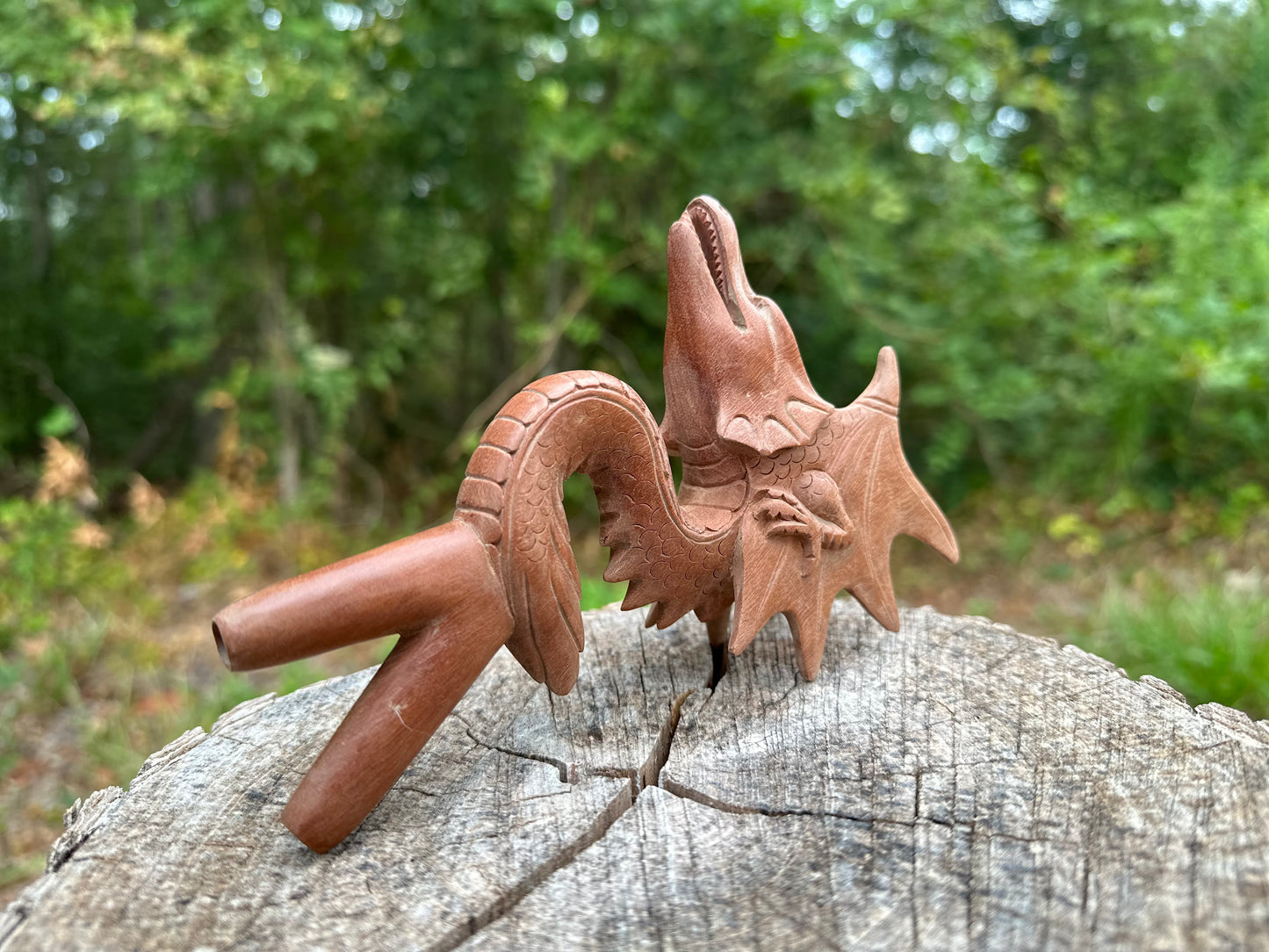 Flying Dragon Kuripe