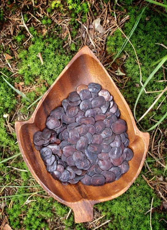 PARICA HAPÉ - Tribu Katukina