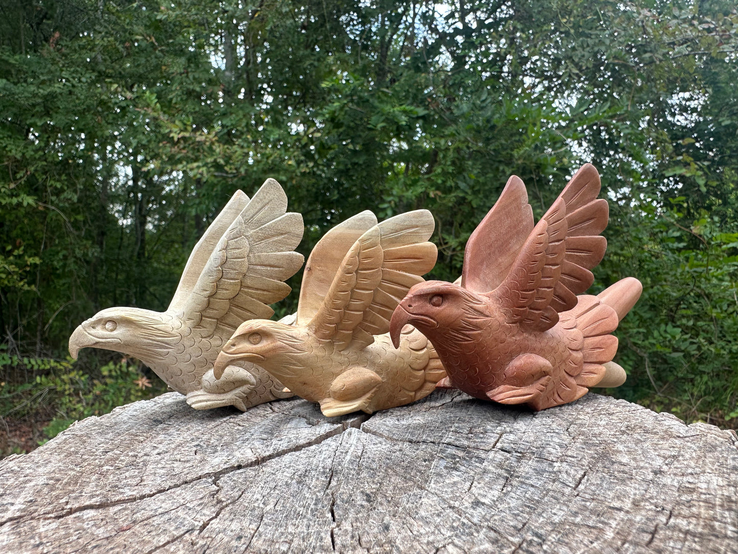 Águila Águila 🦅 kuripe