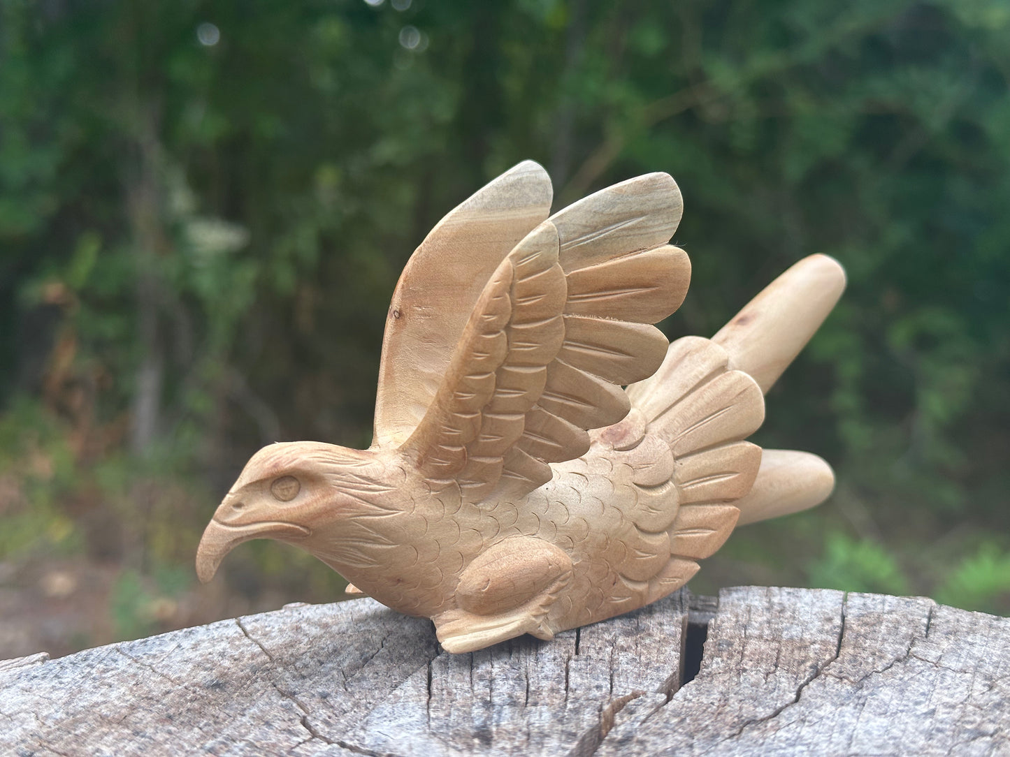 Águila Águila 🦅 kuripe