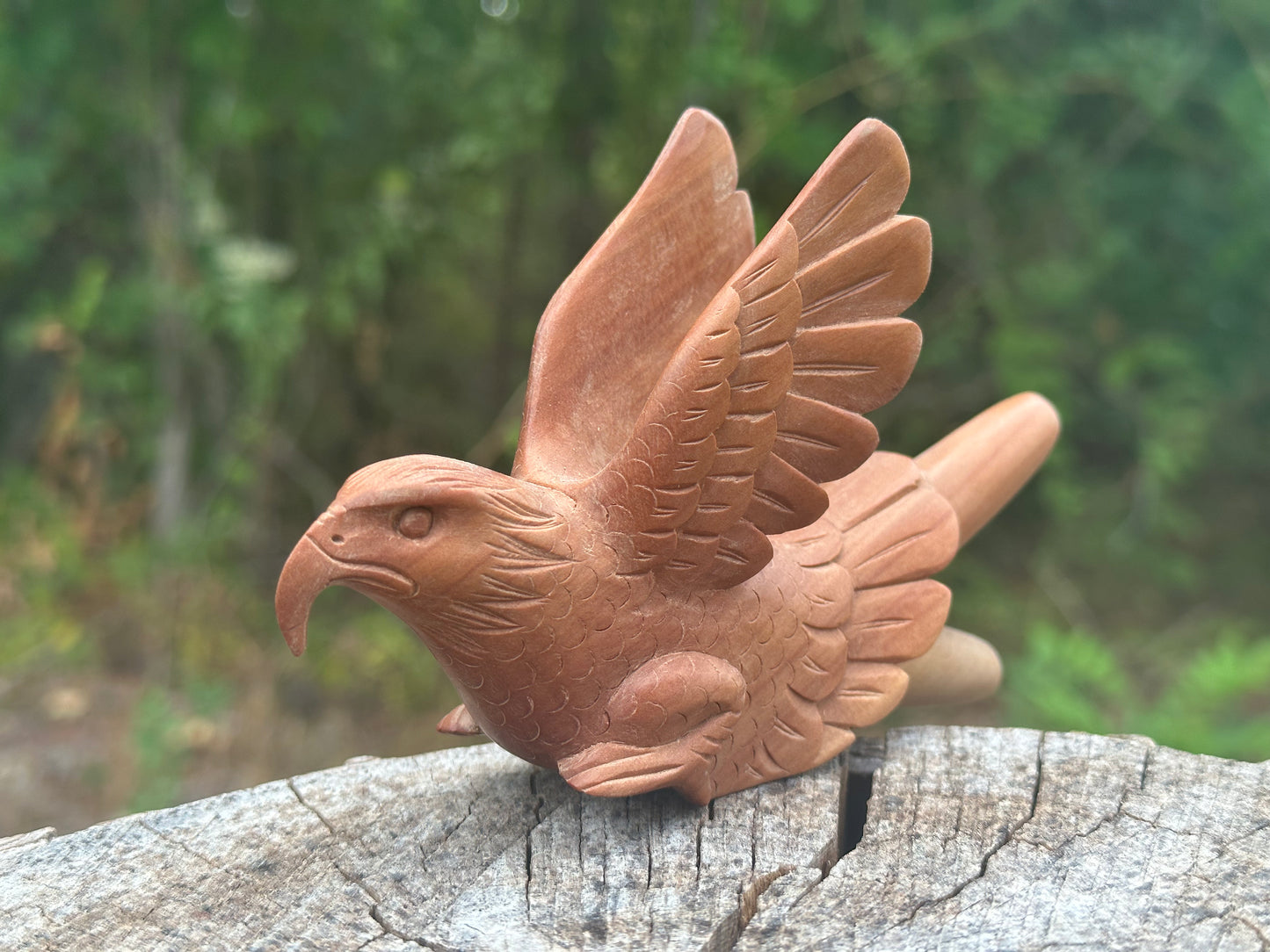Águila Águila 🦅 kuripe