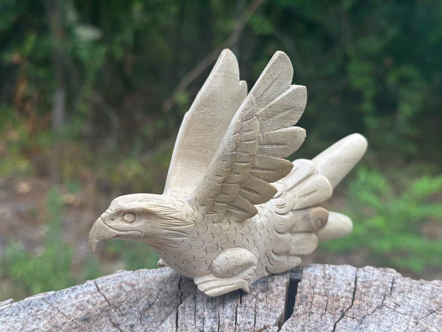 Águila Águila 🦅 kuripe