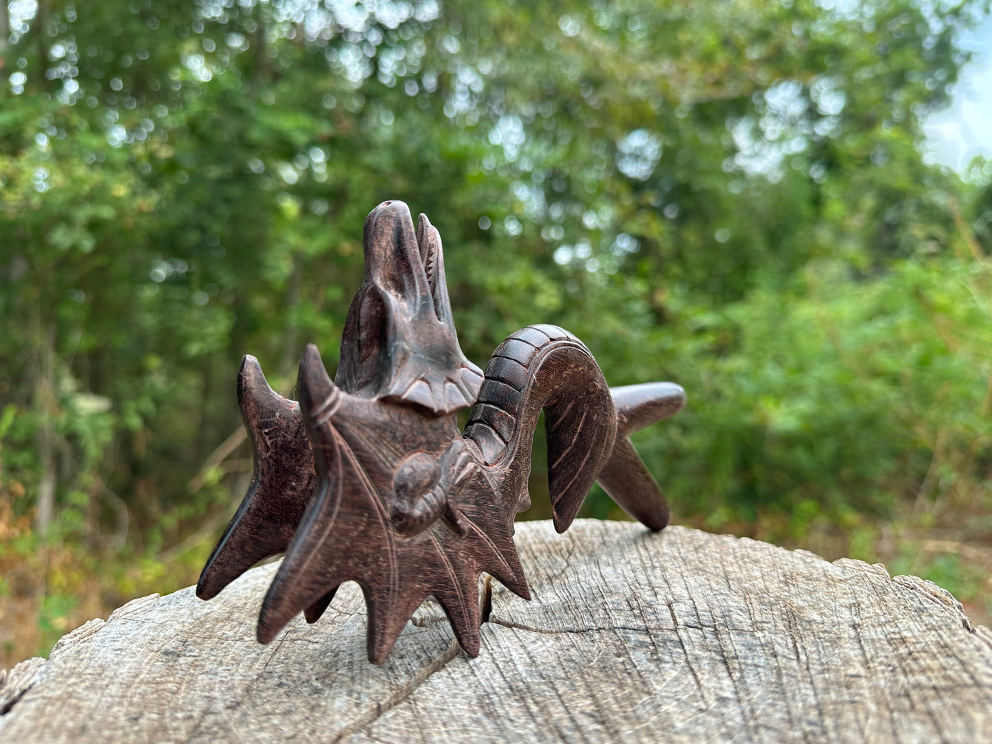 Flying Dragon Kuripe
