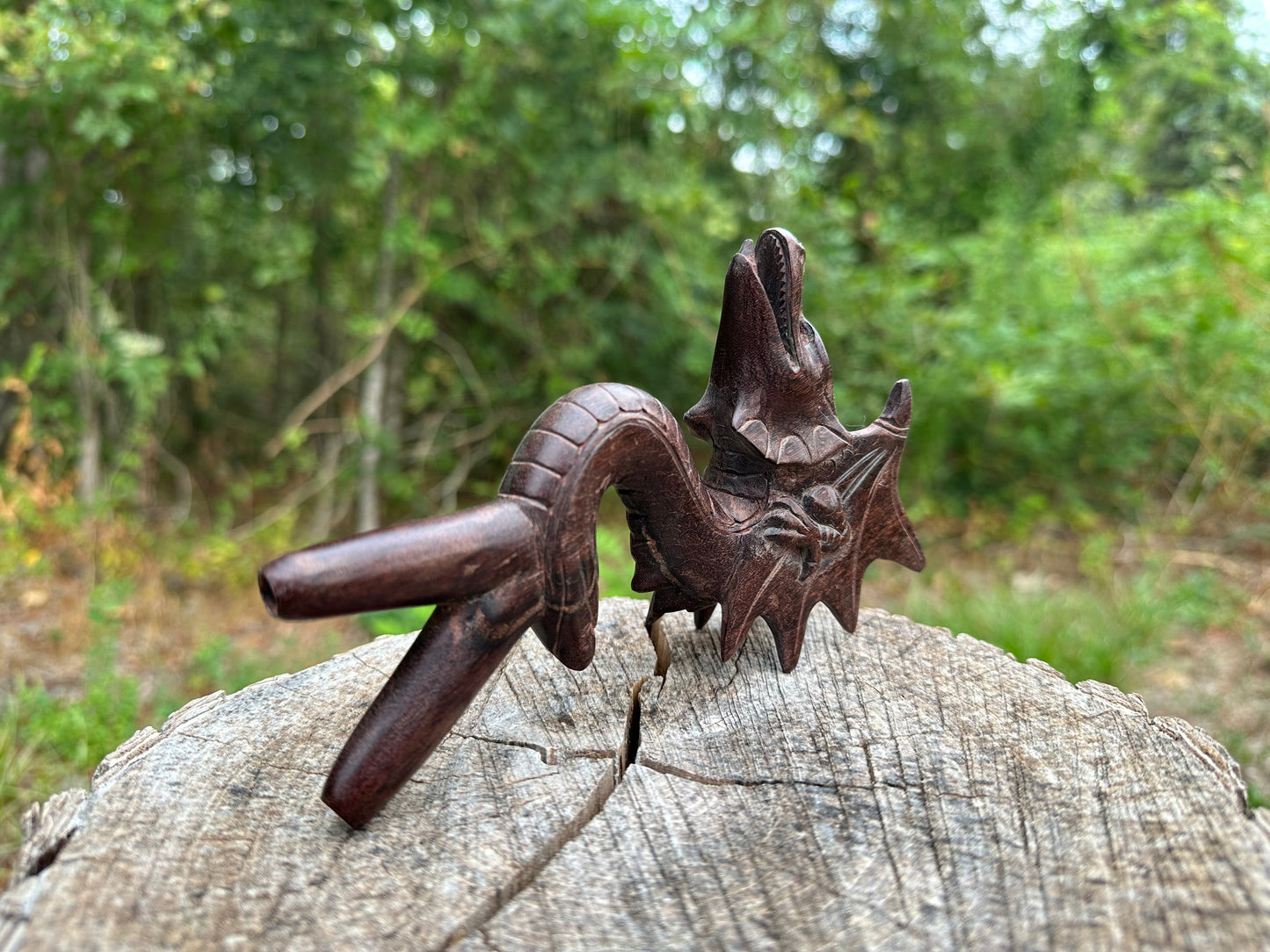 Flying Dragon Kuripe