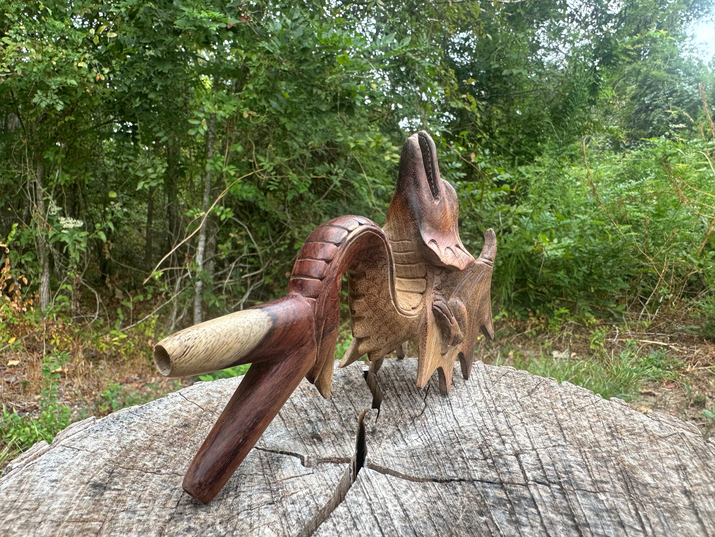 Flying Dragon Kuripe