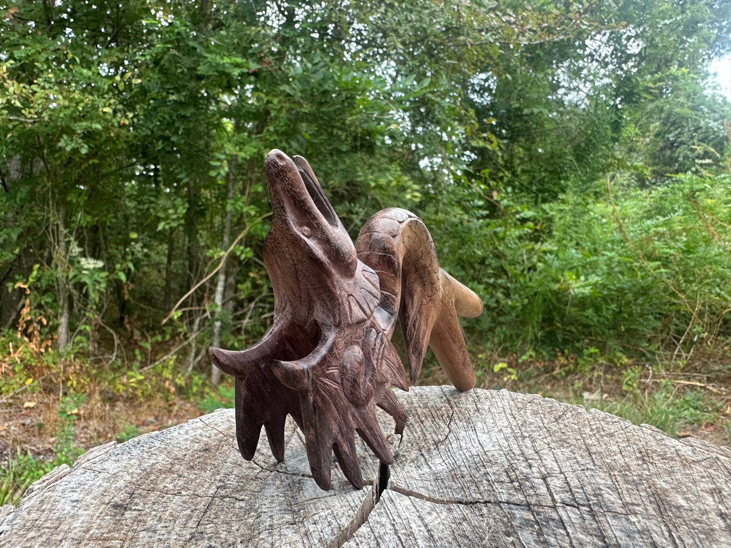 Flying Dragon Kuripe