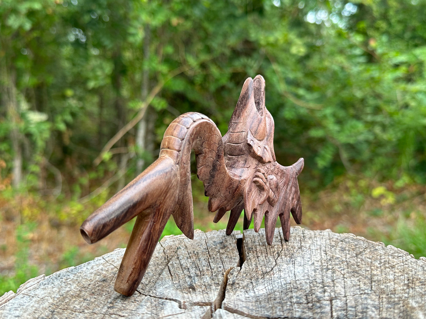 Flying Dragon Kuripe