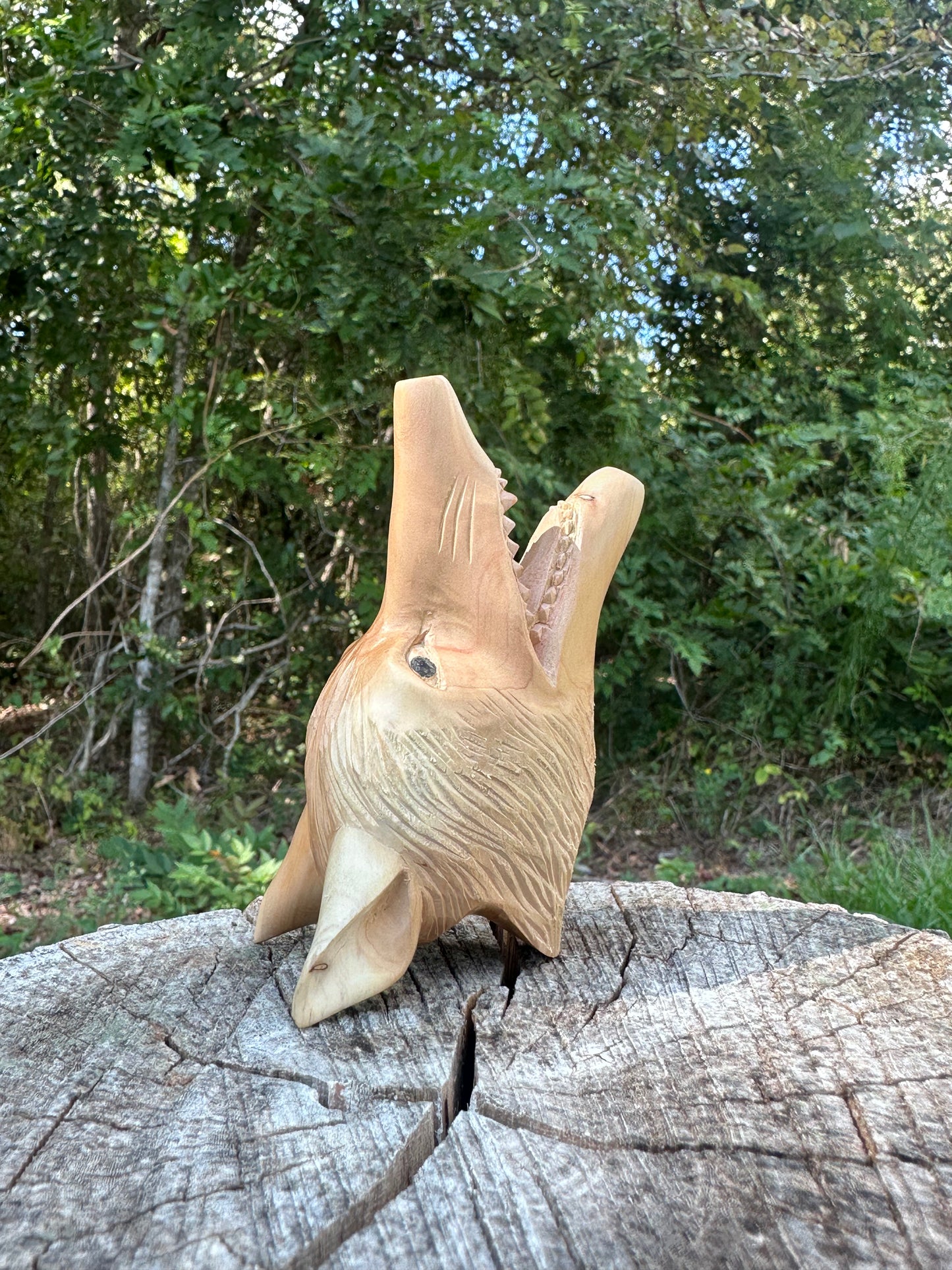 Kuripe de cabeza de lobo