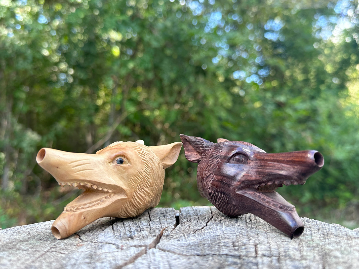Kuripe de cabeza de lobo