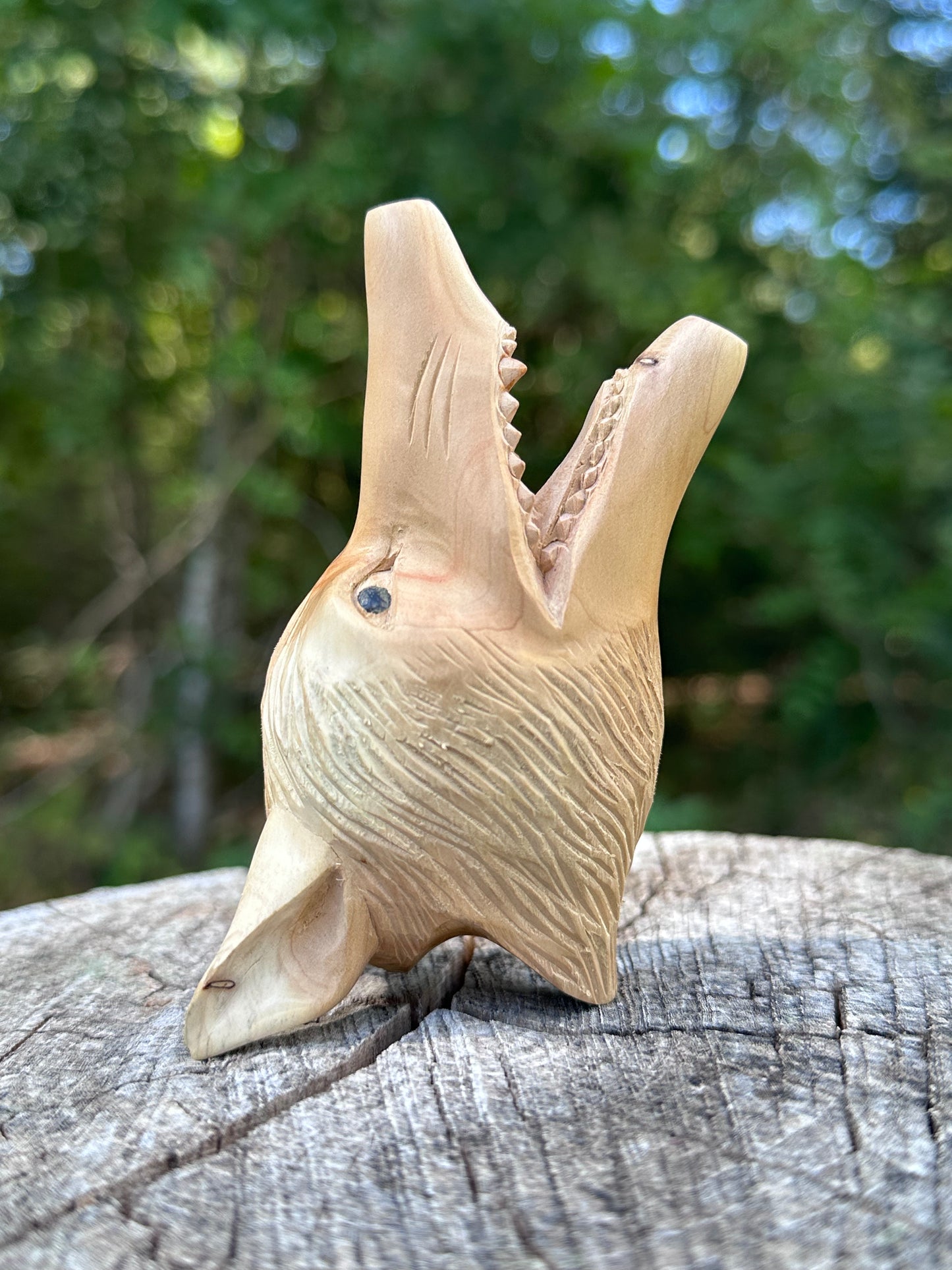 Kuripe de cabeza de lobo