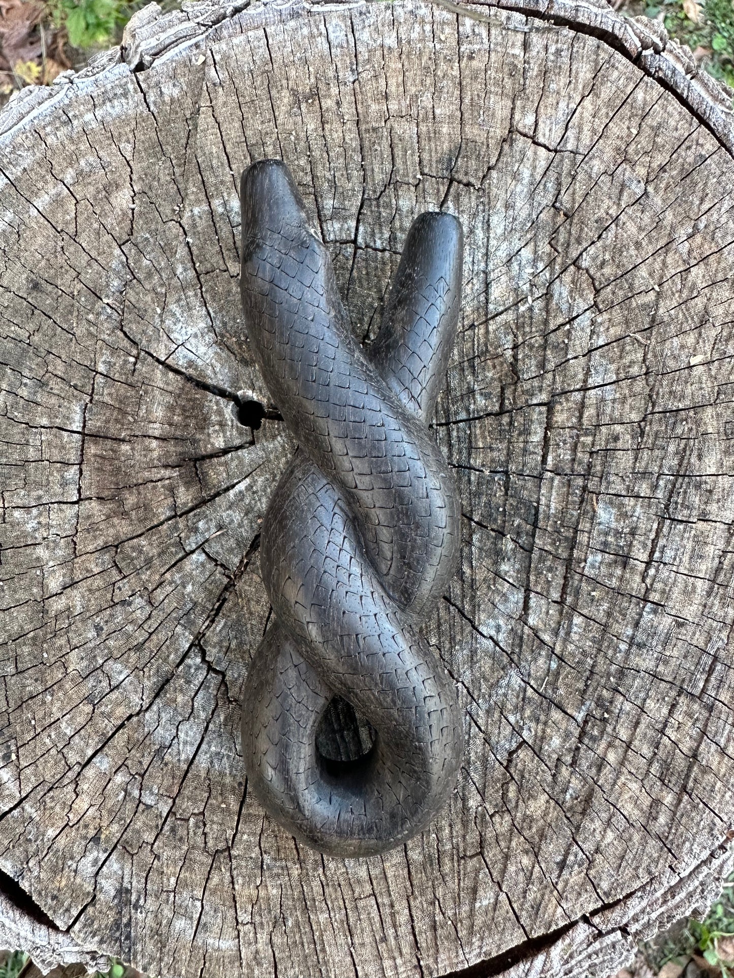 Infiniti Serpiente Kuripe