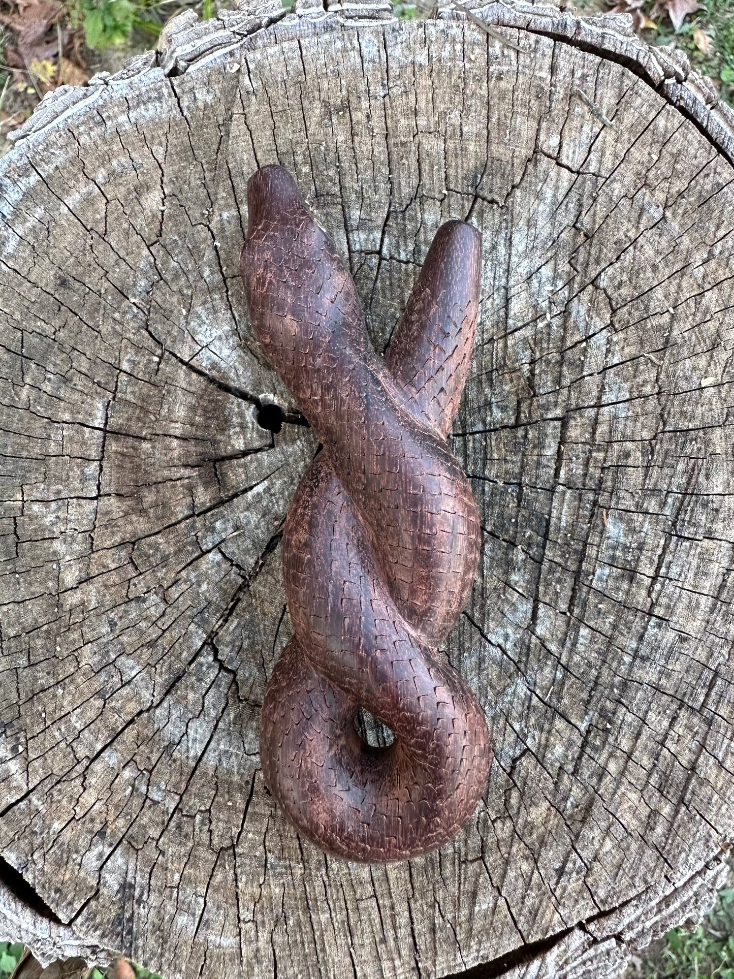 Infiniti Serpiente Kuripe