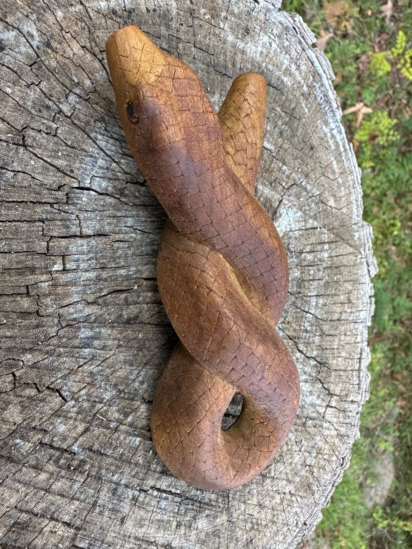Infiniti Serpiente Kuripe