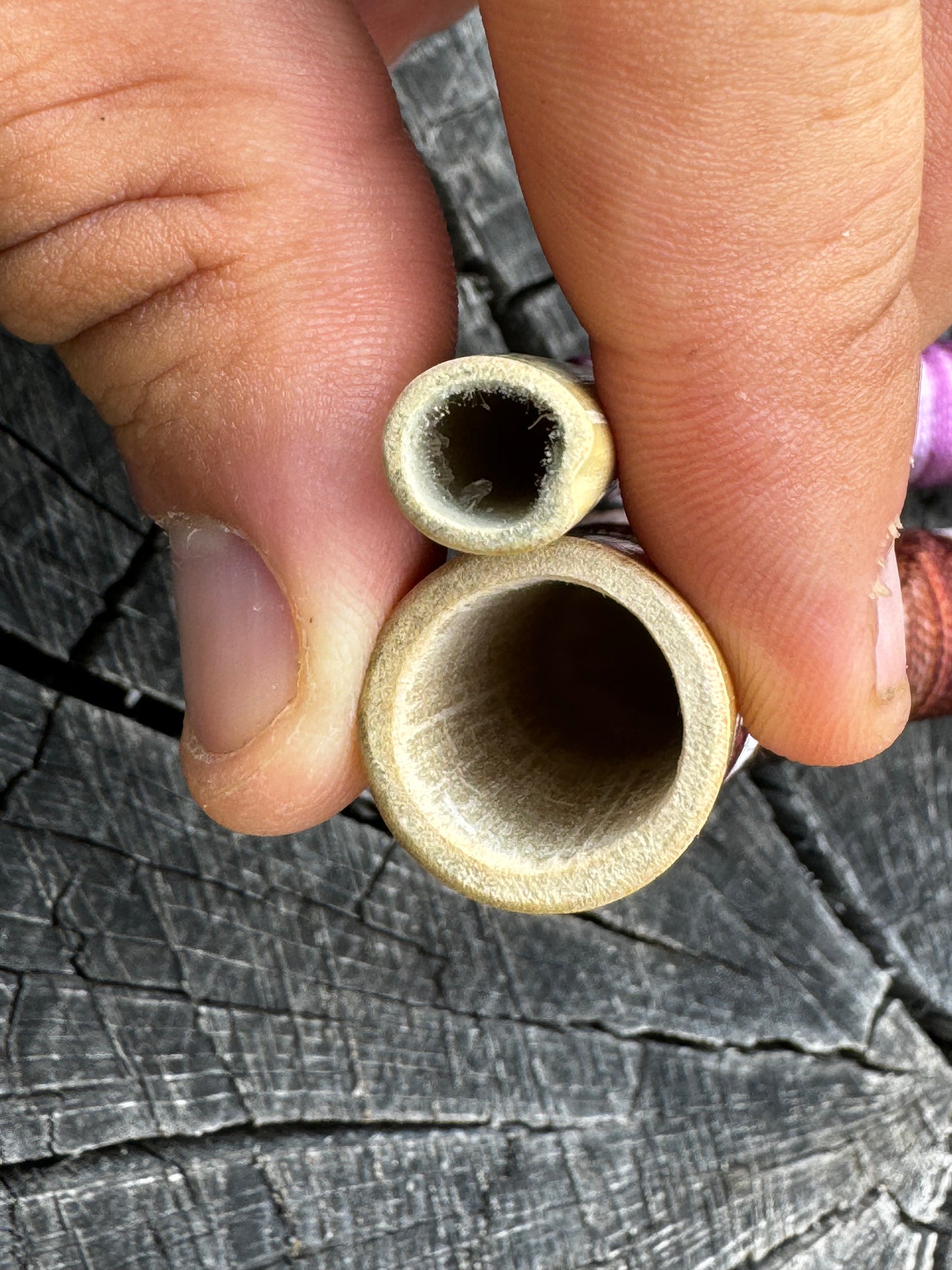 Colombian Tepi Big bamboo hapé applicator