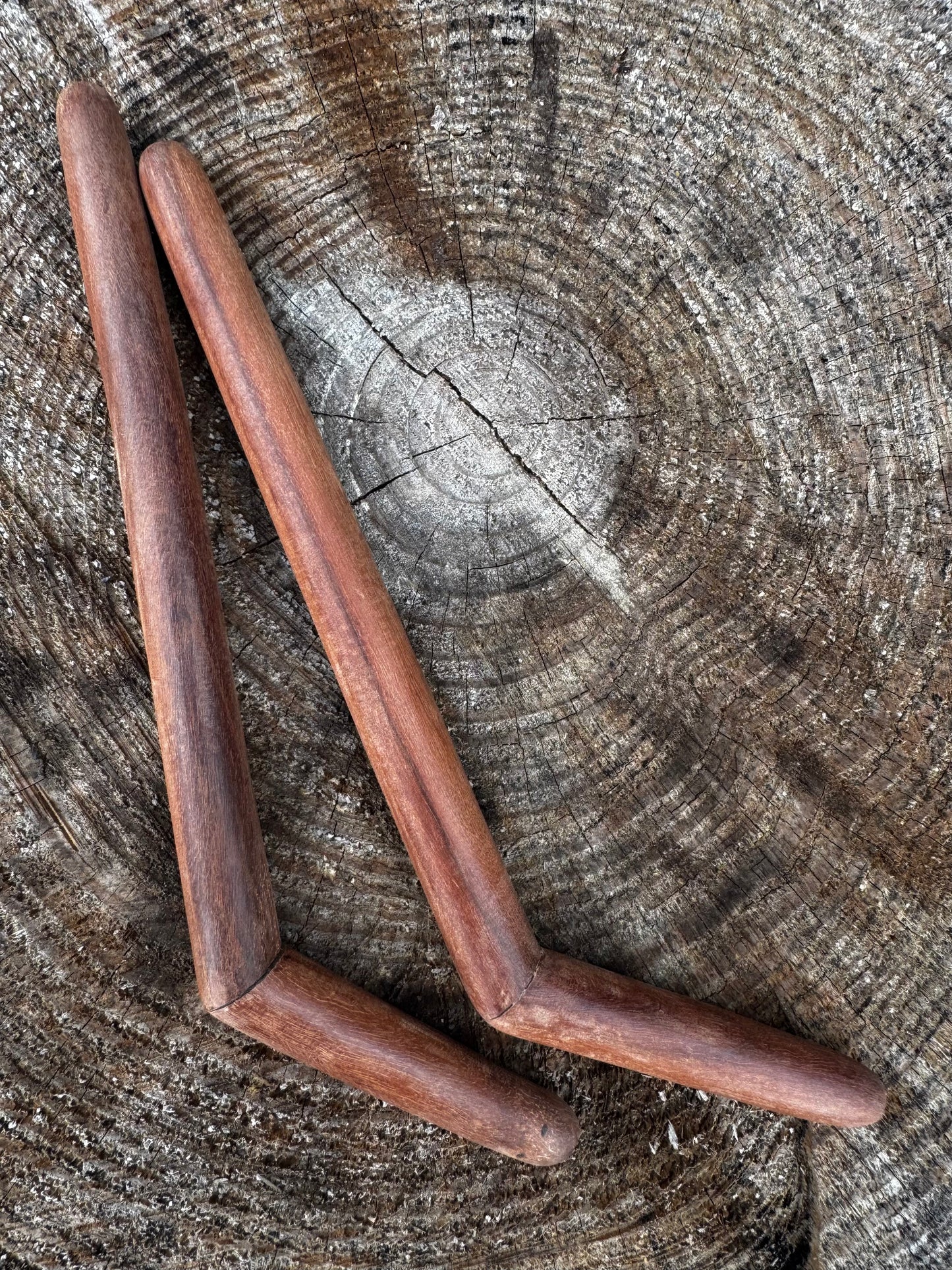 Tepi simple de una sola fosa nasal