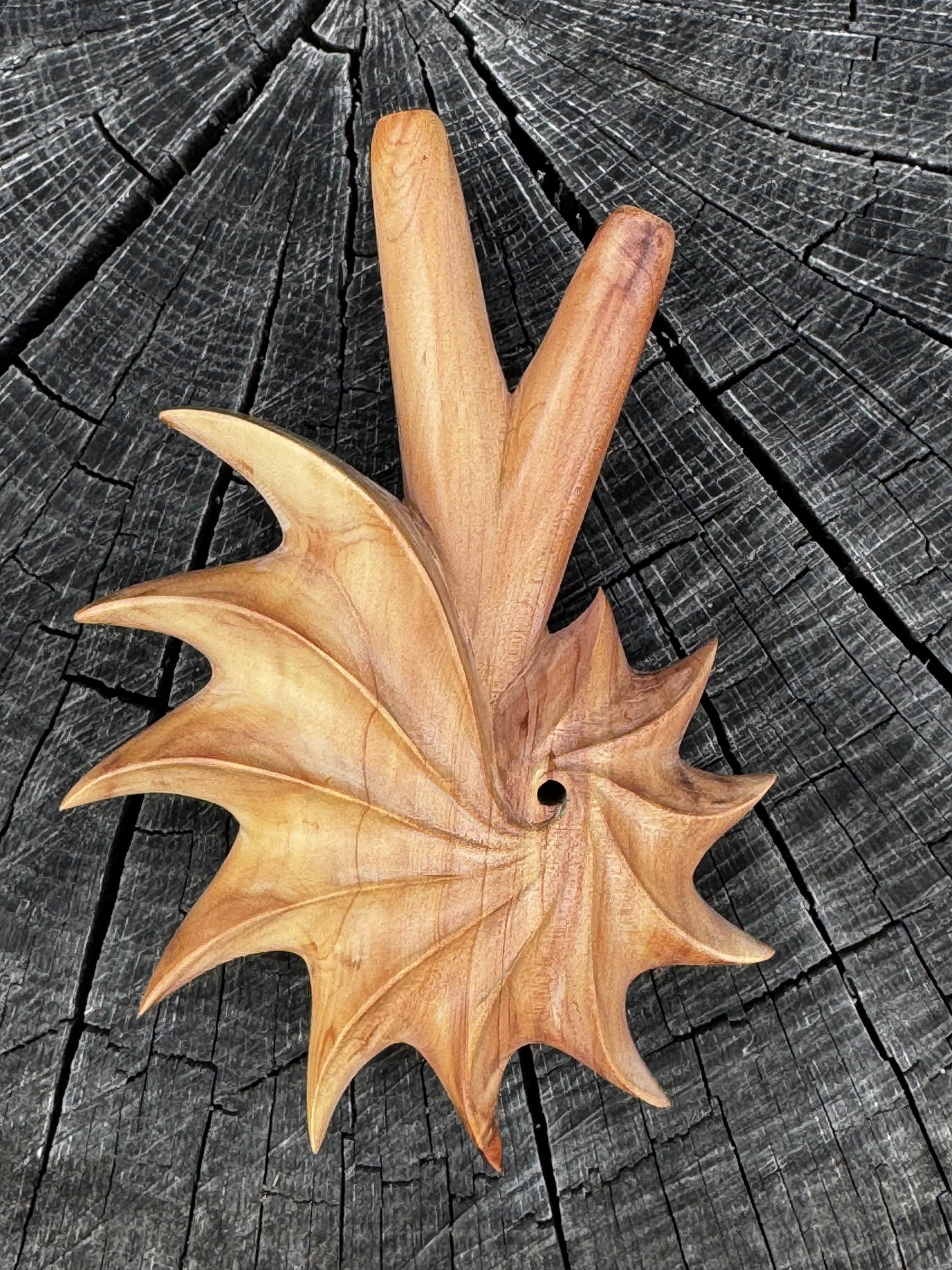 Kuripe espiral de Fibonacci