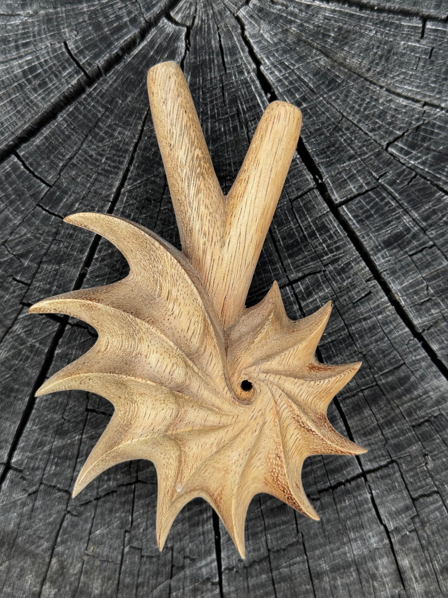 Kuripe espiral de Fibonacci