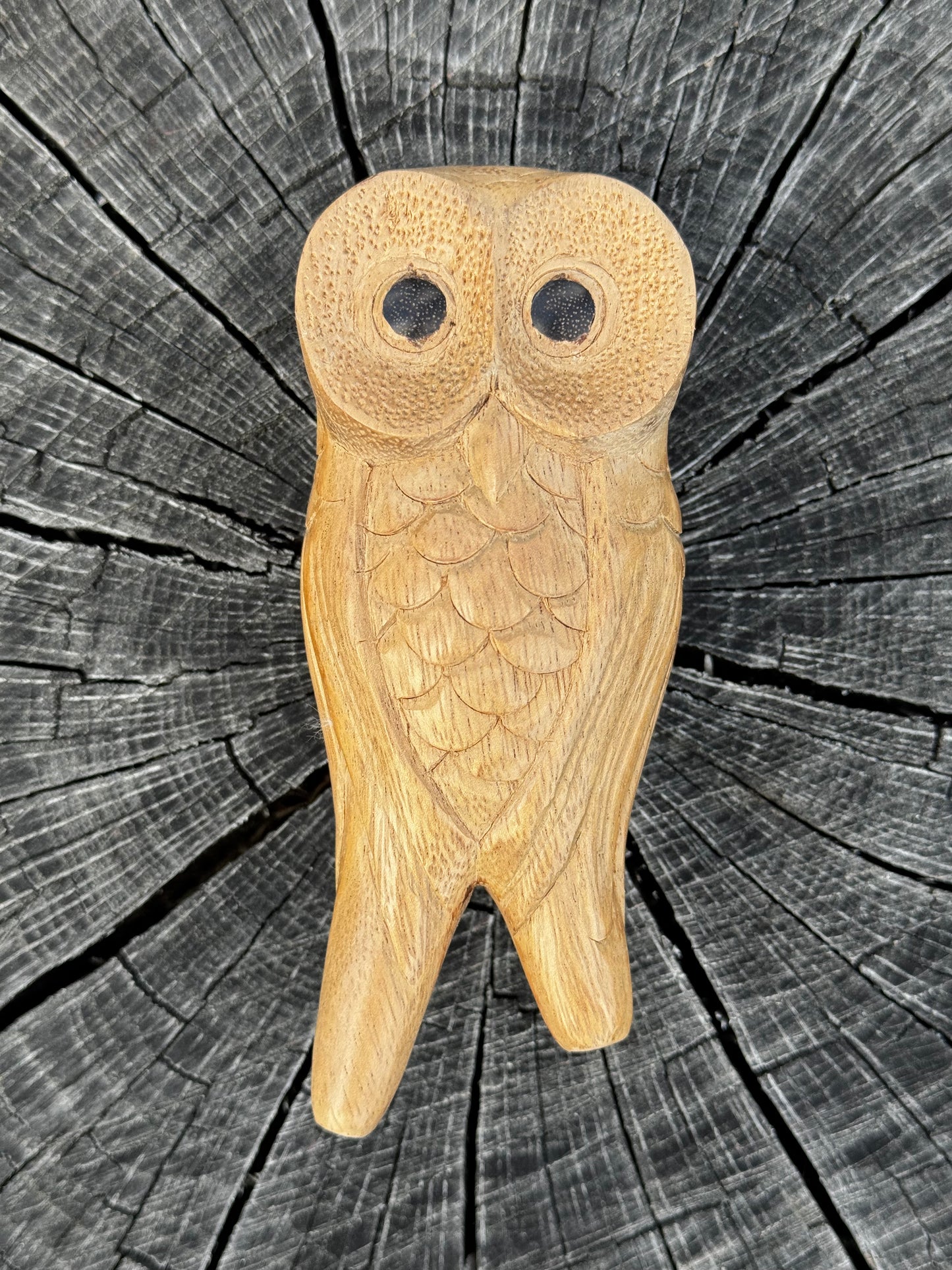 Búho posado Kuripe