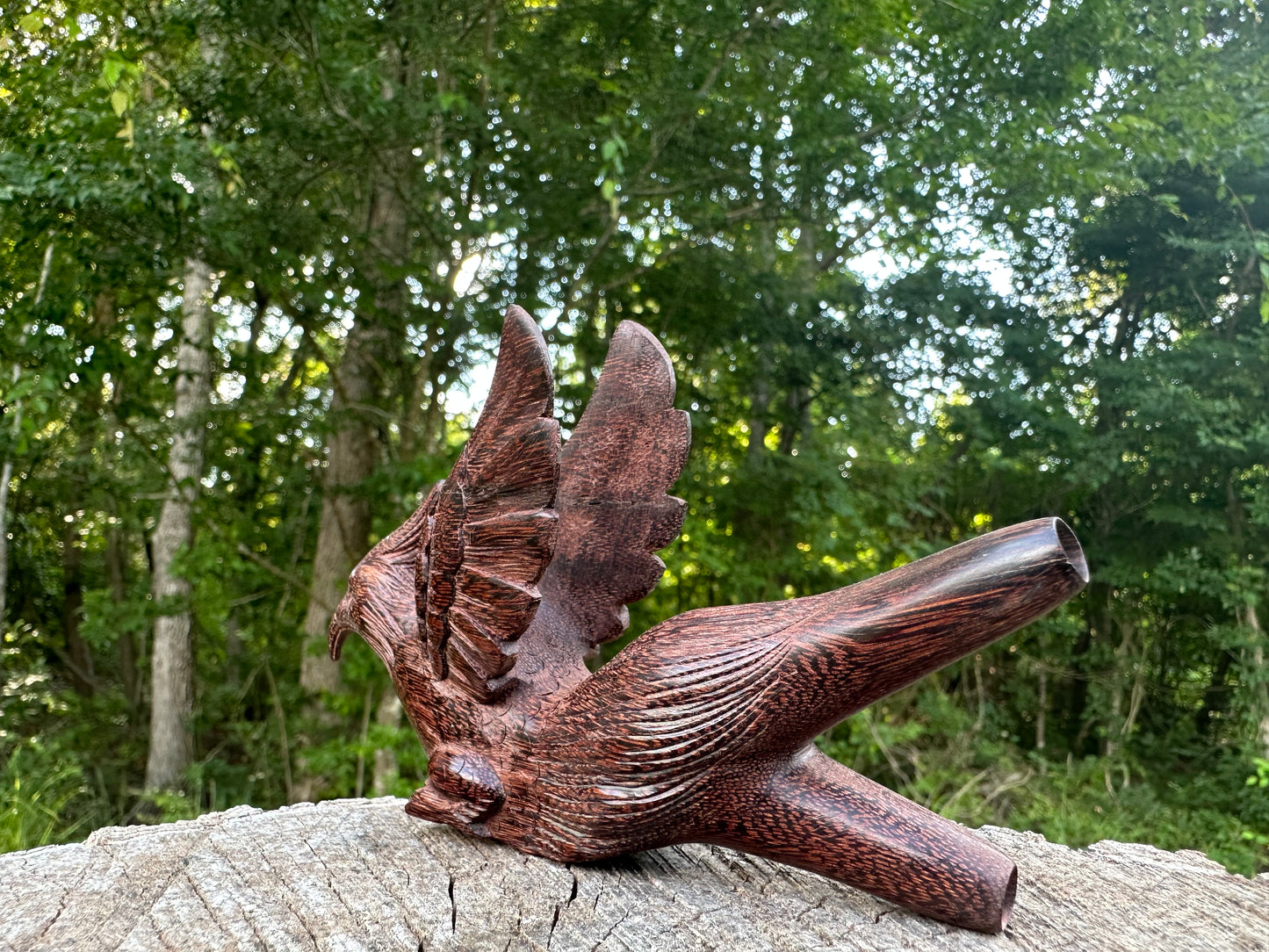 Halcón Pájaro Kuripe