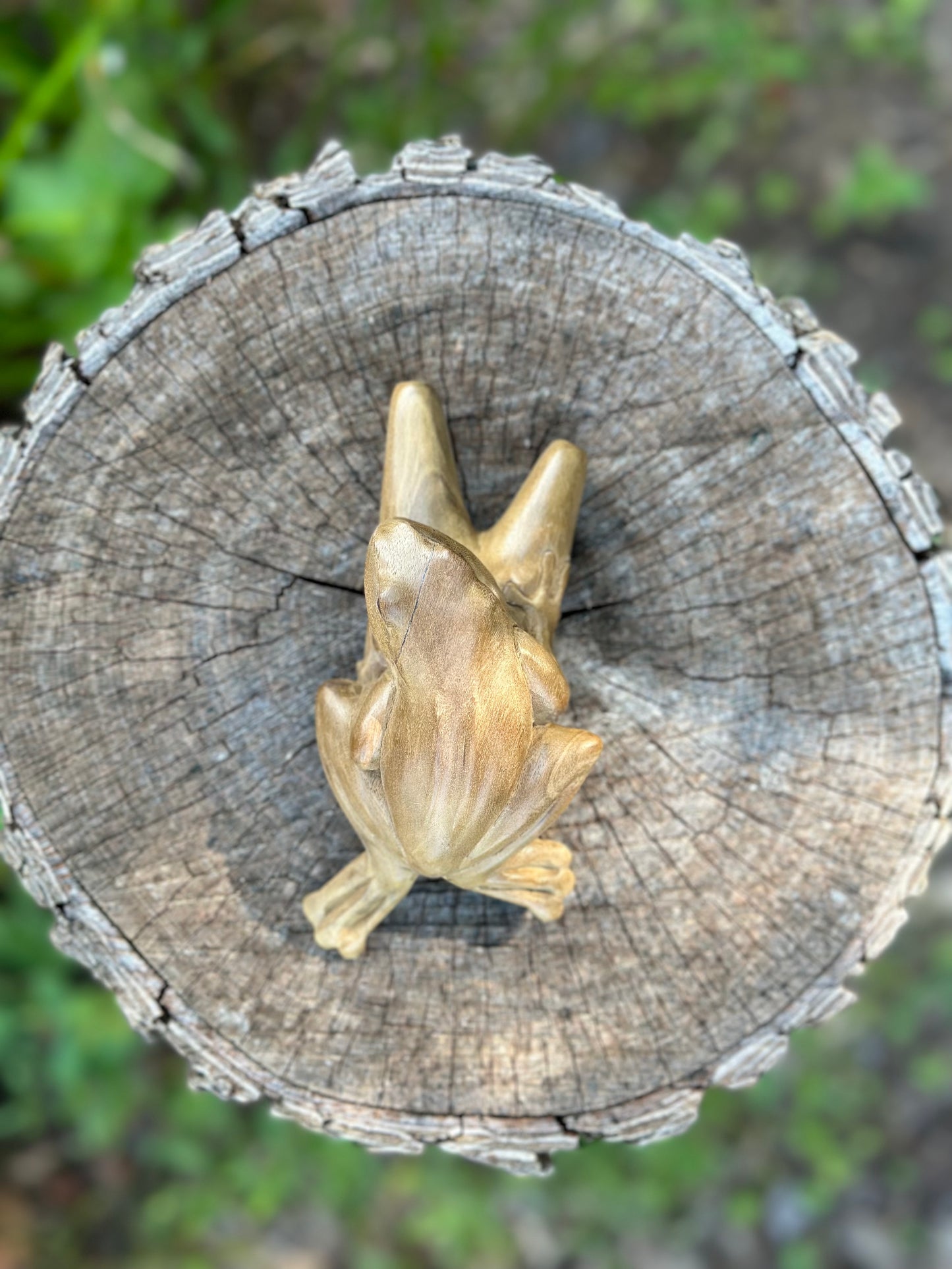 Kambo Frog Kuripe