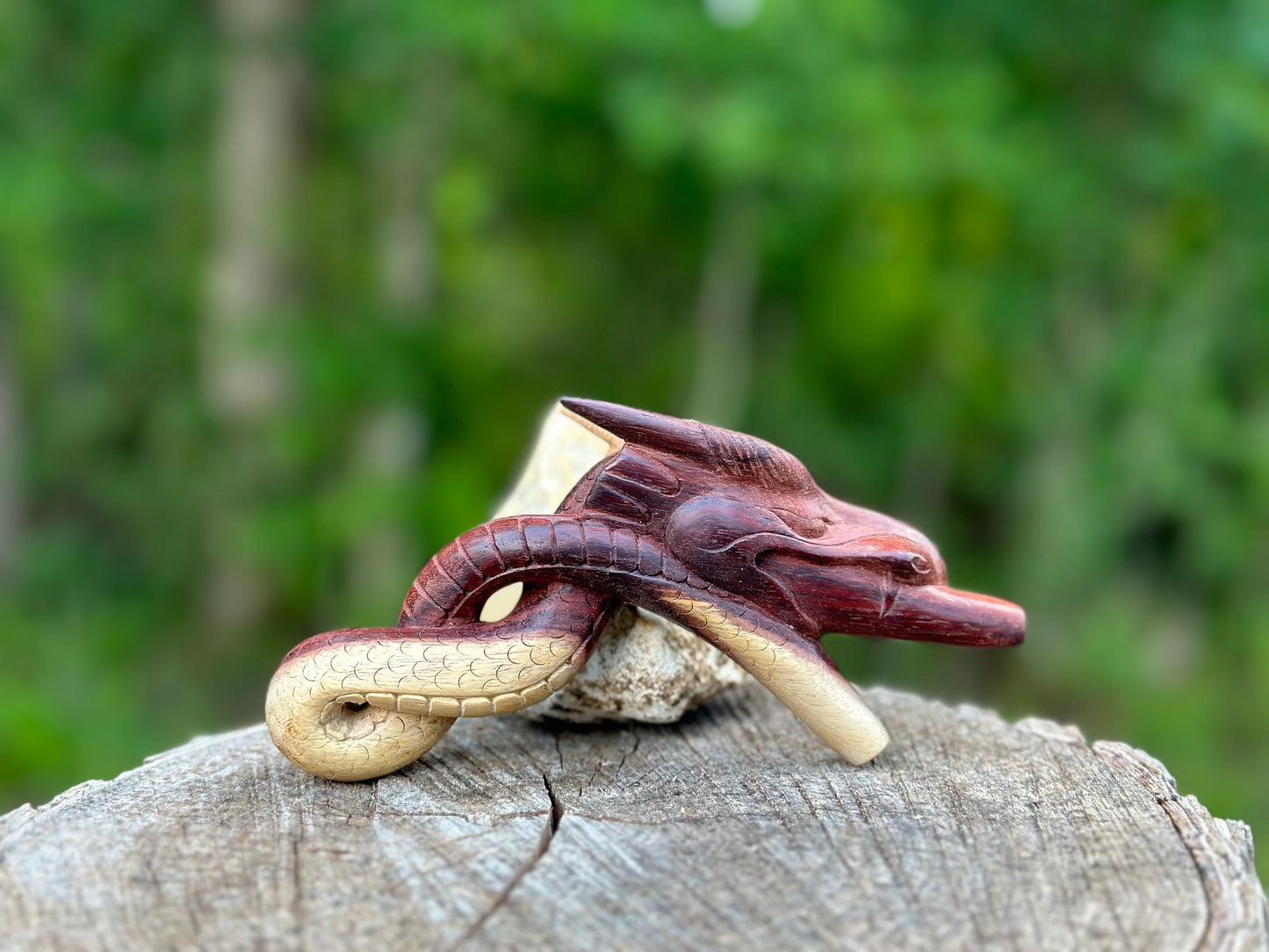 Dragon Kuripe