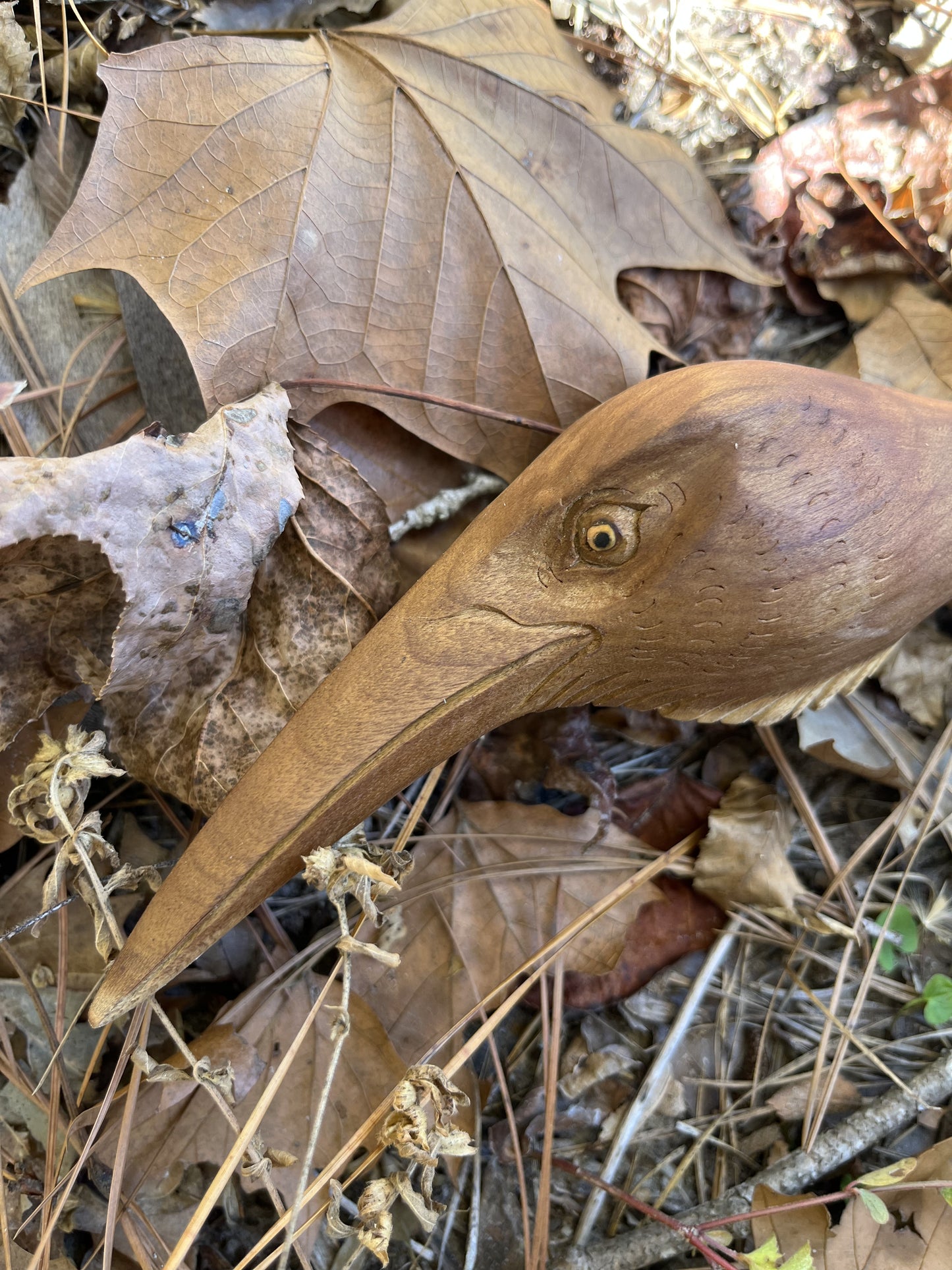 Hummingbird Head Kuripe