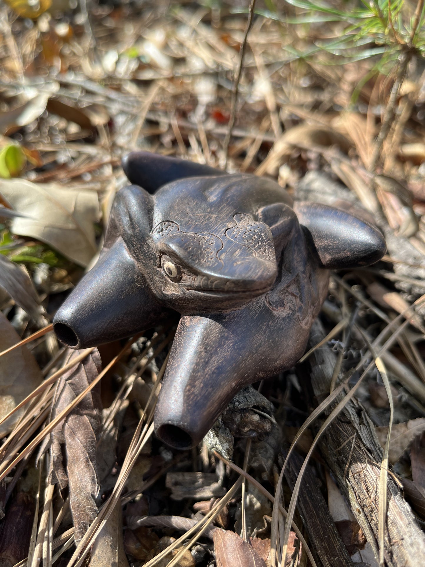 Kambo Frog Kuripe