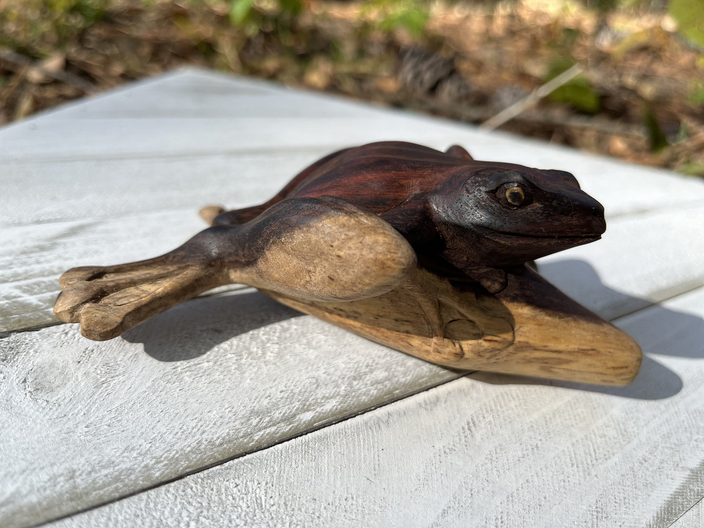 Kambo Frog Kuripe