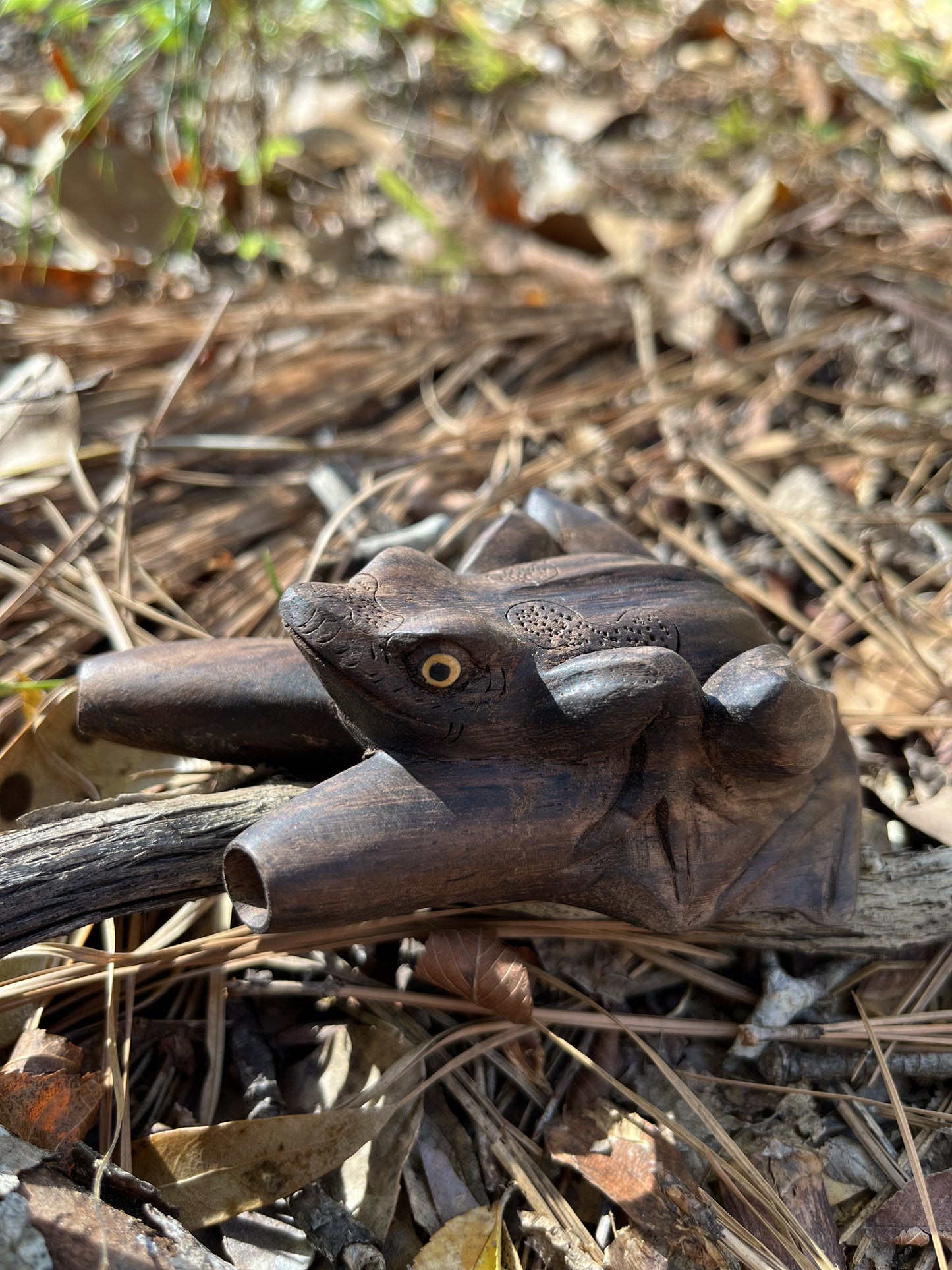 Kambo Frog Kuripe