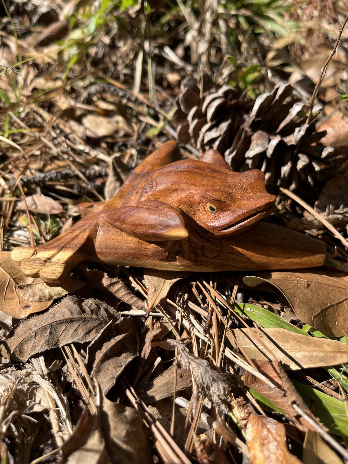Kambo Frog Kuripe