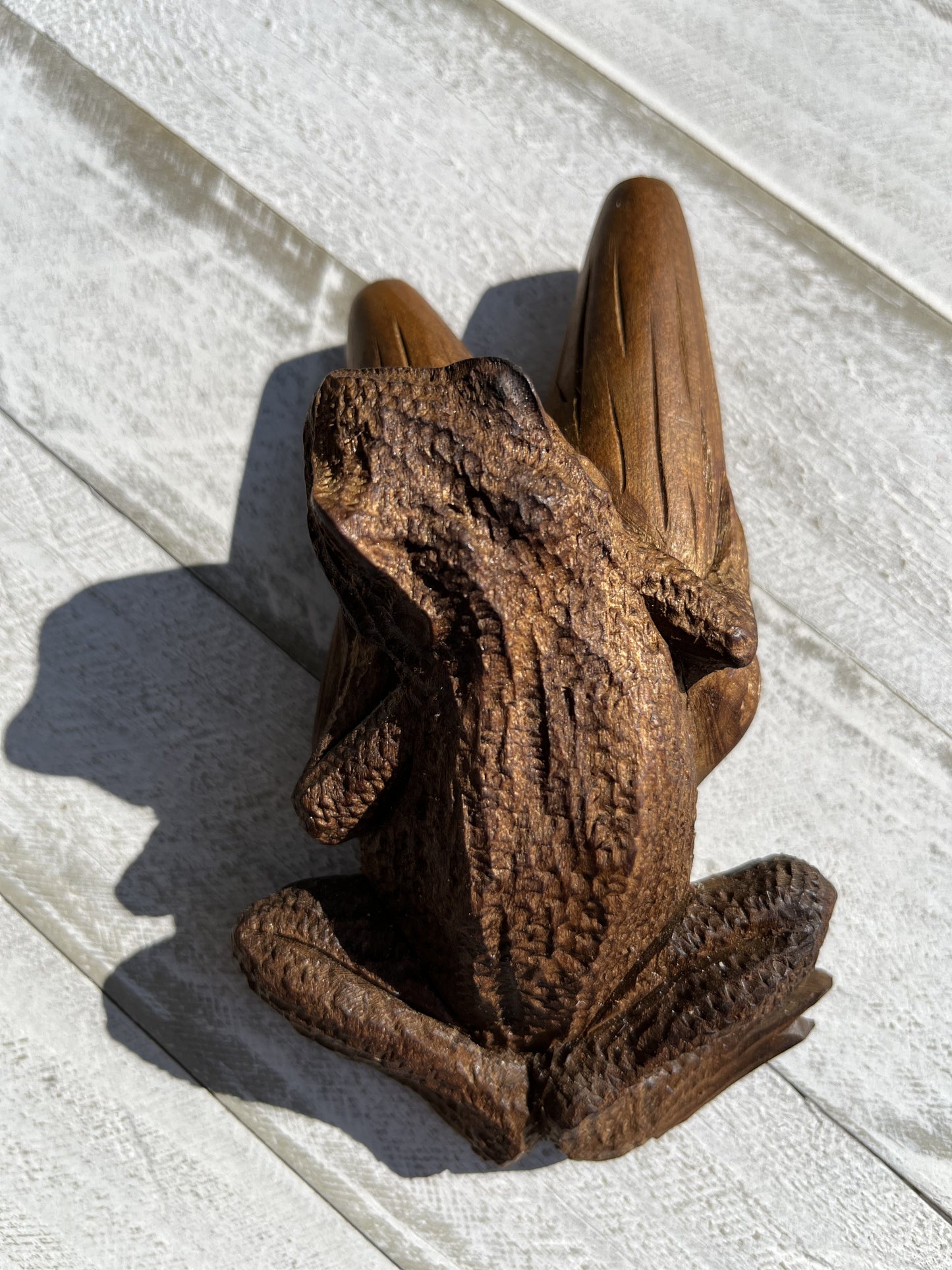 Sapo Bufo Kuripe
