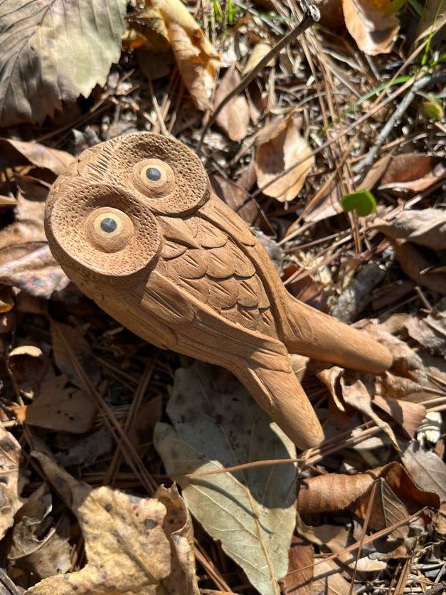 Búho posado Kuripe