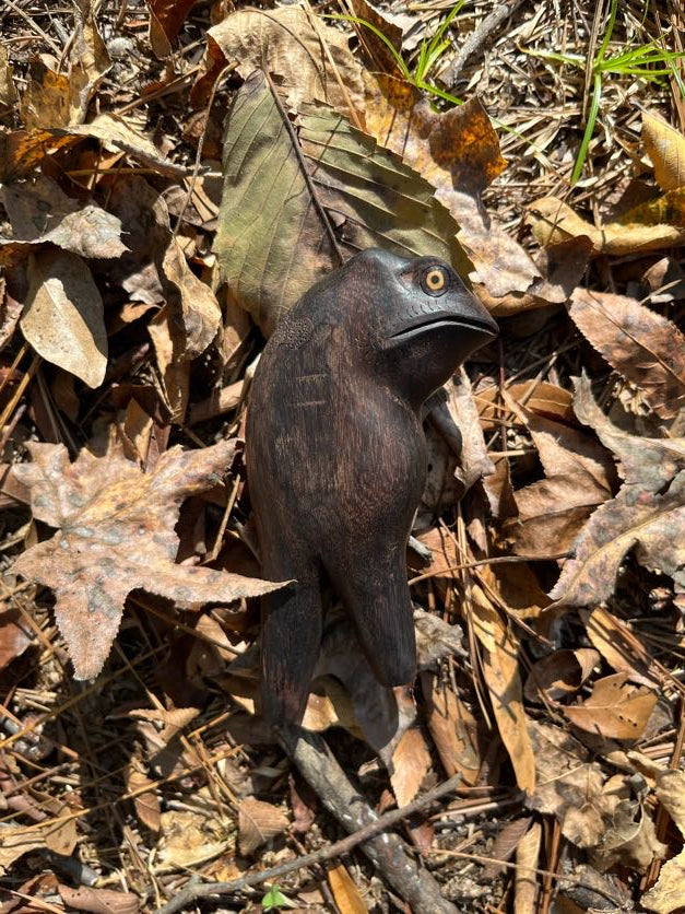 Toad Head Kuripe