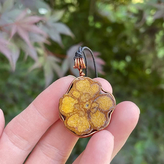 Collar de vid de Ayahuasca