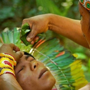 Sananga Eyedrops