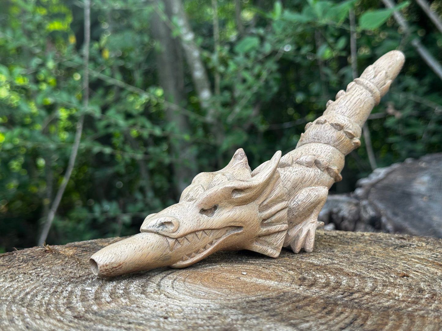 Dragon 🐉  Tepi