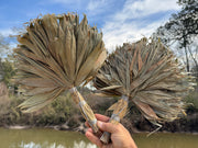Colombian Waira/ Chacapa - Shamanic Leaf Rattle