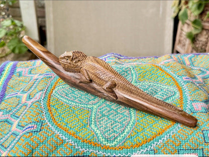 Iguana lizard Tepi